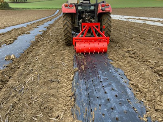 Rouleau Perforateur de traçage et/ou de plantation